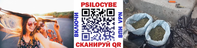где можно купить Козьмодемьянск сайты даркнета официальный сайт Галлюциногенные грибы Psilocybine cubensis